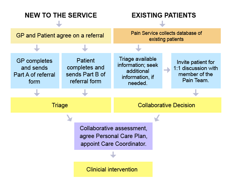 Dorset Community Pain Service Biology Diagrams